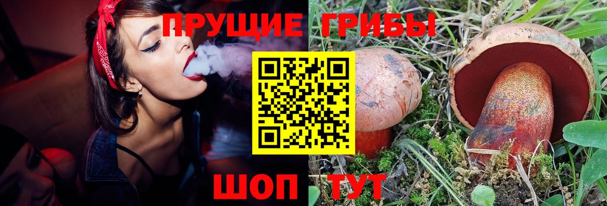 Галлюциногенные грибы мицелий  Вход с VPN  Тобольск 